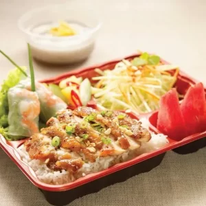 Bento Box A with Rice Bento