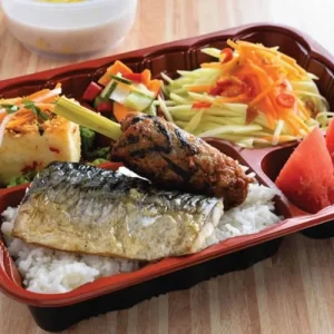 Bento Box C